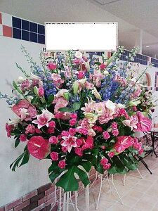 RT-ST1-0044@sNu[n@X^h1i@jEJXEaEEV[[Ef[Ȃǂ̌jɁISz\I15܂ł̂œzoGA