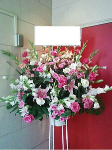 RT-ST1-0042@sNzCgn@X^h1i@jEJXEaEEV[[Ef[Ȃǂ̌jɁISz\I15܂ł̂œzoGA