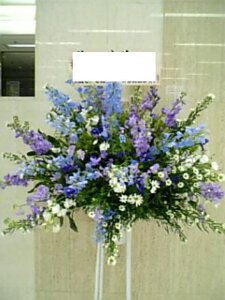 RT-ST1-0046@zCgp[vL@X^h1i@jEJXEaEEV[[Ef[Ȃǂ̌jɁISz\I15܂ł̂œzoGA