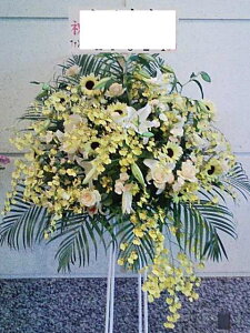 RT-ST1-0031@CG[n@X^h1i@jEJXEaEEV[[Ef[Ȃǂ̌jɁISz\I15܂ł̂œzoGA܂Bi