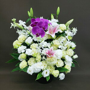  䋟E@p@AWg@16500~ō@r-arem008@zISz\őInłȂGA͓oׂőzɂđΉ܂B󂯎̏oȂV֏͂