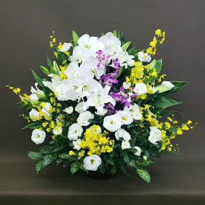  䋟E@p@AWg@22000~ō@r-arem027@zISz\őInłȂGA͓oׂőzɂđΉ܂B󂯎̏oȂV֏͂