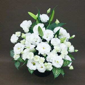  䋟E@p@AWg@r-arem001@zISz\őInłȂGA͓oׂőzɂđΉ܂B󂯎̏oȂV֏͂ւ͂