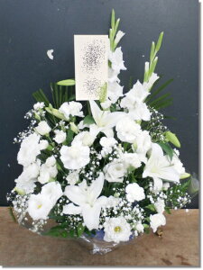 ԃAWSTCY@@r-arem075@zISz\őInłȂGA͓oׂőzɂđΉ܂B󂯎̏oȂV֏͂ւ͂xXgł