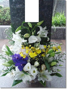 ԃAWLTCY@@r-arem079@zISz\őInłȂGA͓oׂőzɂđΉ܂B󂯎̏oȂV֏͂ւ͂xXgł