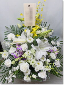 ԃAW@X^_[h@r-arem081@zISz\őInłȂGA͓oׂőzɂđΉ܂B󂯎̏oȂV֏͂ւ͂xX