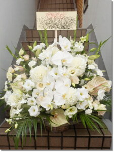 ԃAW2L t@m@@r-arem078@zISz\őInłȂGA͓oׂőzɂđΉ܂B󂯎̏oȂV֏͂ւ͂xXg