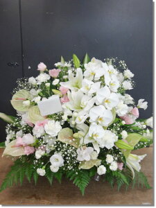 ԃAW@v~A@20,000~ō@r-arem032@zISz\őInłȂGA͓oׂőzɂđΉ܂B󂯎̏oȂV֏͂ւ