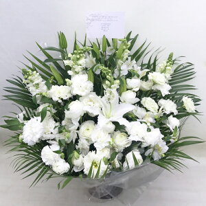 ԁE䋟AWg@r-arem019@zISz\őInłȂGA͓oׂőzɂđΉ܂B󂯎̏oȂV֏͂ւ͂xXg