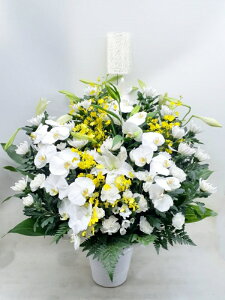 ԁE䋟AWg@r-arem024@zISz\őInłȂGA͓oׂőzɂđΉ܂B󂯎̏oȂV֏͂ւ͂xXg