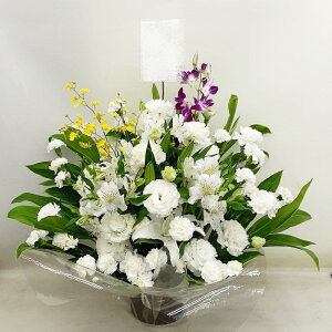 ԁE䋟AWg@r-arem023@zISz\őInłȂGA͓oׂőzɂđΉ܂B󂯎̏oȂV֏͂ւ͂xXg