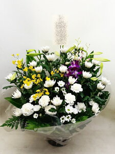 ԁE䋟AWg@r-arem021@zISz\őInłȂGA͓oׂőzɂđΉ܂B󂯎̏oȂV֏͂ւ͂xXg