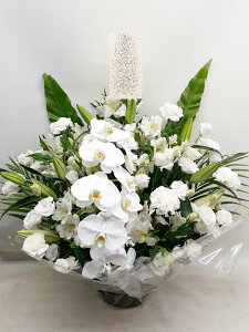 ԁE䋟AWg@r-arem071@zISz\őInłȂGA͓oׂőzɂđΉ܂B󂯎̏oȂV֏͂ւ͂xXg