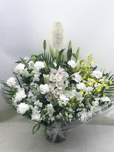 ԁE䋟AWg@r-arem026@zISz\őInłȂGA͓oׂőzɂđΉ܂B󂯎̏oȂV֏͂ւ͂xXg