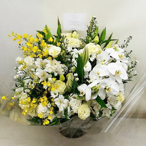 ԁE䋟AWg@r-arem029@zISz\őInłȂGA͓oׂőzɂđΉ܂B󂯎̏oȂV֏͂ւ͂xXg