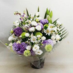 ԁE䋟AWg@r-arem025@zISz\őInłȂGA͓oׂőzɂđΉ܂B󂯎̏oȂV֏͂ւ͂xXg