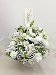 ԁE䋟AWg@r-arem073@zISz\őInłȂGA͓oׂőzɂđΉ܂B󂯎̏oȂV֏͂ւ͂xXg