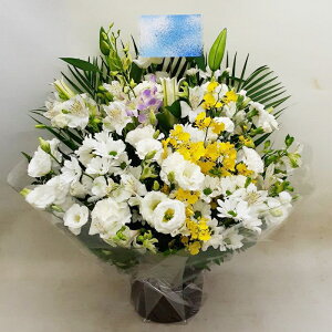 ԁE䋟AWg@r-arem015@zISz\őInłȂGA͓oׂőzɂđΉ܂B󂯎̏oȂV֏͂ւ͂xXg