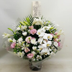 ԁE䋟AWg@r-arem014@zISz\őInłȂGA͓oׂőzɂđΉ܂B󂯎̏oȂV֏͂ւ͂xXg