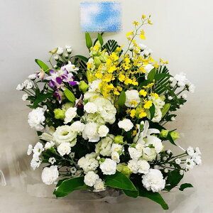 ԁE䋟AWg@r-arem010@zISz\őInłȂGA͓oׂőzɂđΉ܂B󂯎̏oȂV֏͂ւ͂xXg