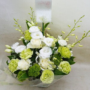 ԁE䋟AWg@r-arem006@zISz\őInłȂGA͓oׂőzɂđΉ܂B󂯎̏oȂV֏͂ւ͂xXg