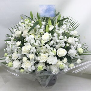 ԁE䋟AWg@r-arem017@zISz\őInłȂGA͓oׂőzɂđΉ܂B󂯎̏oȂV֏͂ւ͂xXg