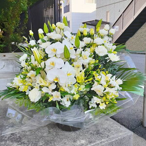 ԁE䋟AWg@r-arem030@zISz\őInłȂGA͓oׂőzɂđΉ܂B󂯎̏oȂV֏͂ւ͂xXg