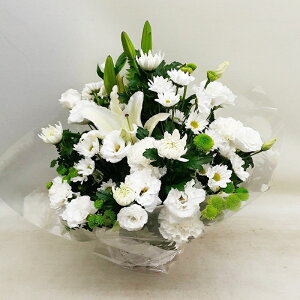 ԁE䋟AWg@r-arem069@zISz\őInłȂGA͓oׂőzɂđΉ܂B󂯎̏oȂV֏͂ւ͂xXg