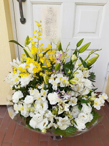 ԁE䋟AWg@r-arem028@zISz\őInłȂGA͓oׂőzɂđΉ܂B󂯎̏oȂV֏͂ւ͂xXg