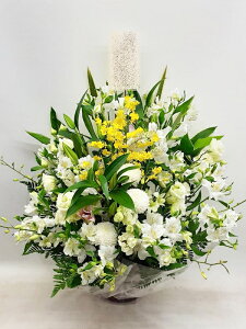 ԁE䋟AWg@r-arem013@zISz\őInłȂGA͓oׂőzɂđΉ܂B󂯎̏oȂV֏͂ւ͂xXg