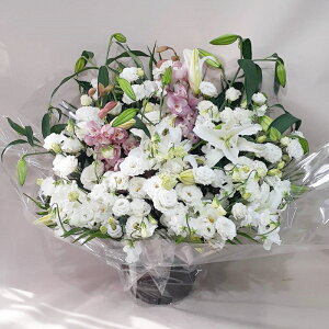 ԁE䋟AWg@r-arem057@zISz\őInłȂGA͓oׂőzɂđΉ܂B󂯎̏oȂV֏͂ւ͂xXg