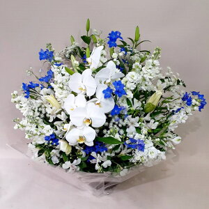 ԁE䋟AWg@r-arem055@zISz\őInłȂGA͓oׂőzɂđΉ܂B󂯎̏oȂV֏͂ւ͂xXg