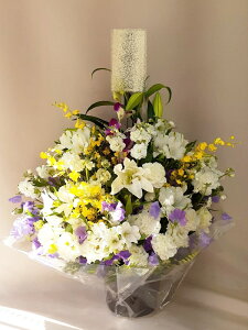 ԁE䋟AWg@r-arem056@zISz\őInłȂGA͓oׂőzɂđΉ܂B󂯎̏oȂV֏͂ւ͂xXg