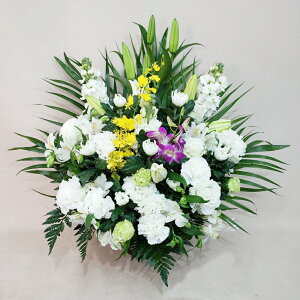 ԁE䋟AWg@r-arem054@zISz\őInłȂGA͓oׂőzɂđΉ܂B󂯎̏oȂV֏͂ւ͂xXg