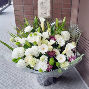 ԁE䋟AWg@r-arem052@zISz\őInłȂGA͓oׂőzɂđΉ܂B󂯎̏oȂV֏͂ւ͂xXg