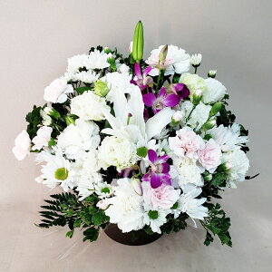 ԁE䋟AWg@r-arem053@zISz\őInłȂGA͓oׂőzɂđΉ܂B󂯎̏oȂV֏͂ւ͂xXg