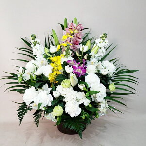 ԁE䋟AWg@r-arem068@zISz\őInłȂGA͓oׂőzɂđΉ܂B󂯎̏oȂV֏͂ւ͂xXg