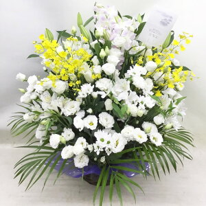 ԁE䋟AWg@r-arem050@zISz\őInłȂGA͓oׂőzɂđΉ܂B󂯎̏oȂV֏͂ւ͂xXg