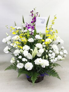 ԁE䋟AWg@r-arem049@zISz\őInłȂGA͓oׂőzɂđΉ܂B󂯎̏oȂV֏͂ւ͂xXg