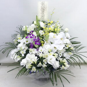 ԁE䋟AWg@r-arem046@zISz\őInłȂGA͓oׂőzɂđΉ܂B󂯎̏oȂV֏͂ւ͂xXg