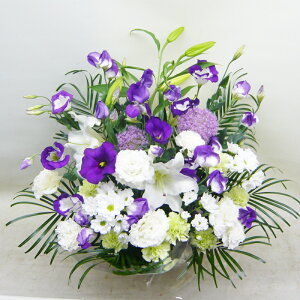 ԁE䋟AWg@r-arem045@zISz\őInłȂGA͓oׂőzɂđΉ܂B󂯎̏oȂV֏͂ւ͂xXg