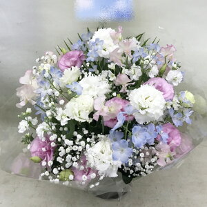 ԁE䋟AWg@r-arem042@zISz\őInłȂGA͓oׂőzɂđΉ܂B󂯎̏oȂV֏͂ւ͂xXg