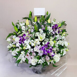 ԁE䋟AWg@r-arem040@zISz\őInłȂGA͓oׂőzɂđΉ܂B󂯎̏oȂV֏͂ւ͂xXg