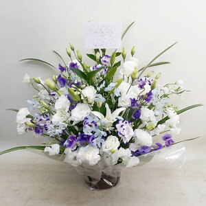 ԁE䋟AWg@r-arem038@zISz\őInłȂGA͓oׂőzɂđΉ܂B󂯎̏oȂV֏͂ւ͂xXg