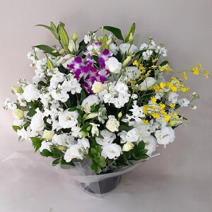 ԁE䋟AWg@r-arem037@zISz\őInłȂGA͓oׂőzɂđΉ܂B󂯎̏oȂV֏͂ւ͂xXg