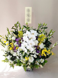 ԁE䋟AWg@r-arem036@zISz\őInłȂGA͓oׂőzɂđΉ܂B󂯎̏oȂV֏͂ւ͂xXg