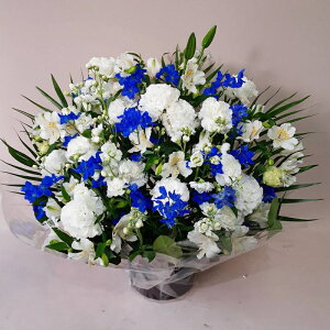 ԁE䋟AWg@r-arem035@zISz\őInłȂGA͓oׂőzɂđΉ܂B󂯎̏oȂV֏͂ւ͂xXg