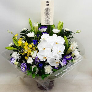 ԁE䋟AWg@r-arem065@zISz\őInłȂGA͓oׂőzɂđΉ܂B󂯎̏oȂV֏͂ւ͂xXg