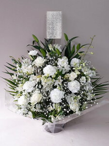 ԁE䋟AWg@r-arem066@zISz\őInłȂGA͓oׂőzɂđΉ܂B󂯎̏oȂV֏͂ւ͂xXg