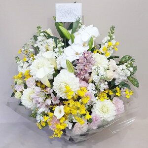 ԁE䋟AWg@r-arem063@zISz\őInłȂGA͓oׂőzɂđΉ܂B󂯎̏oȂV֏͂ւ͂xXg